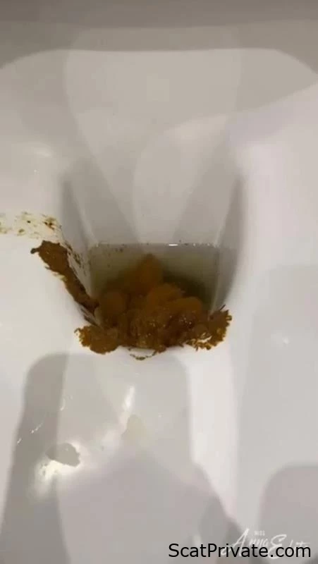 An Overabundance Of Shit In The Lavatory. P1