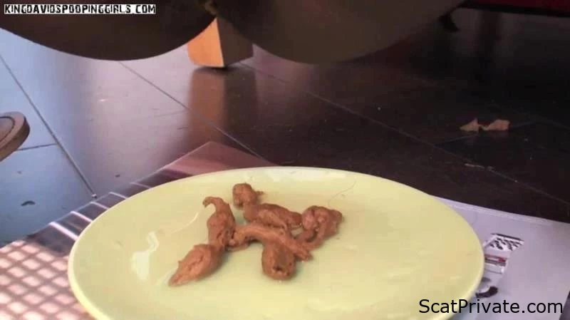 Brownish Poop On Plate - Thefartbabes